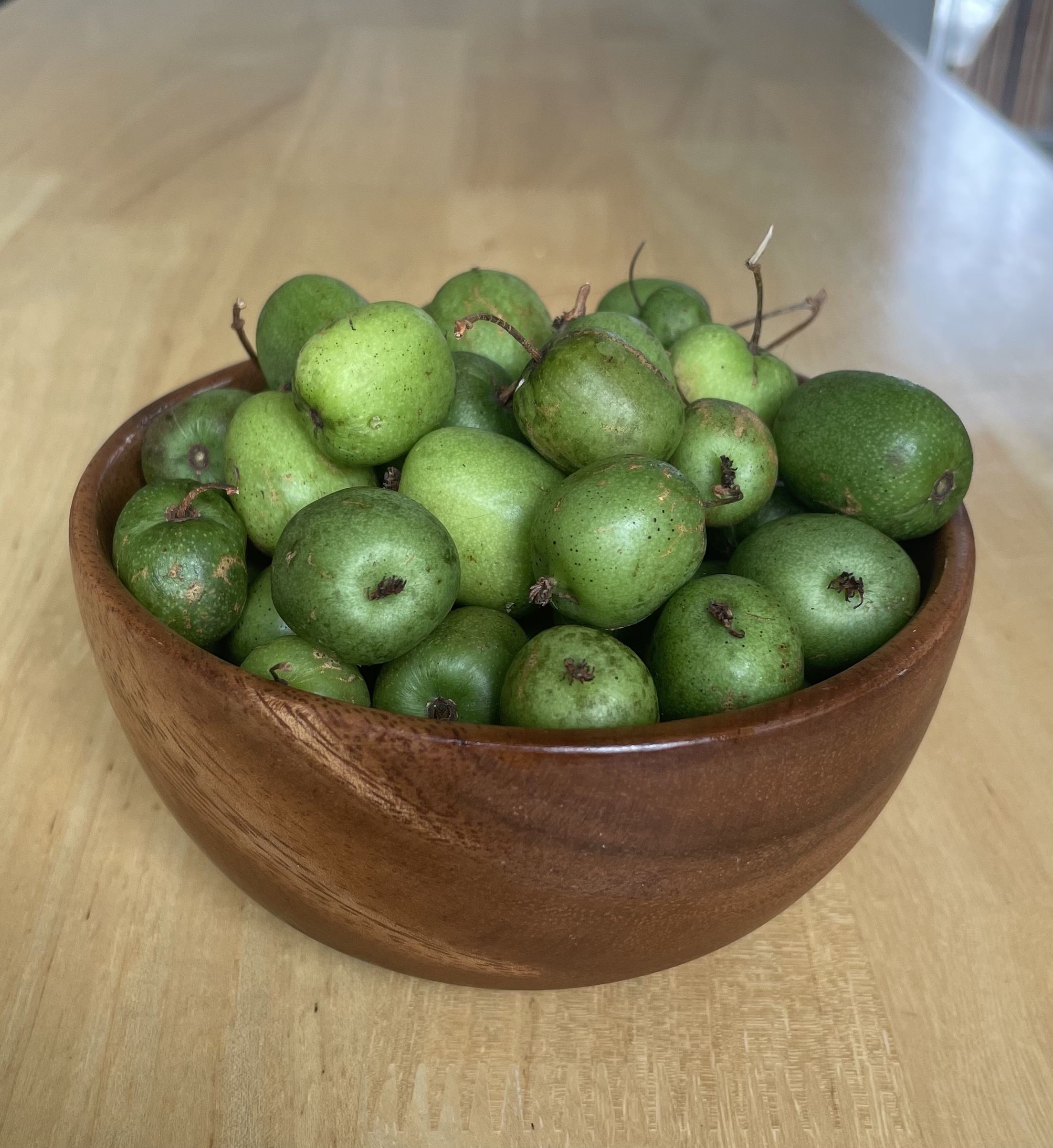 New Fruit Just Dropped